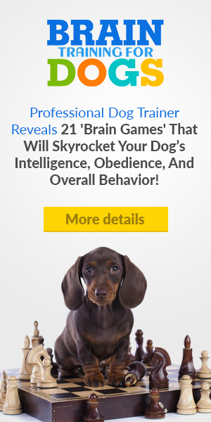 Brain Training for Dogs.