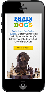 Train Your Dog Yourself At Home.